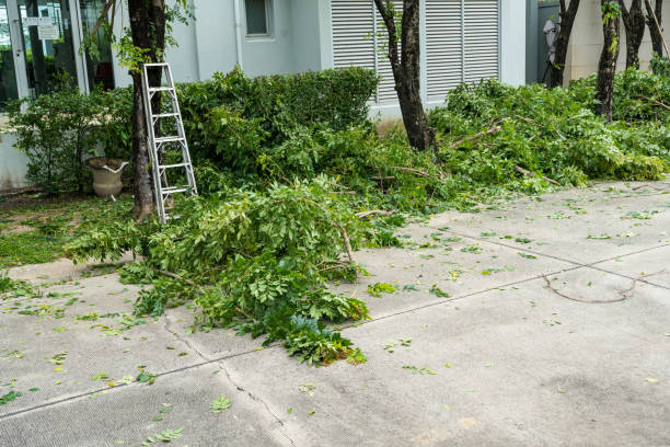 Best Arborist Consultation Services  in Hurlburt Field, FL